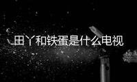 田丫和鐵蛋是什么電視
