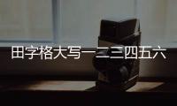 田字格大寫一二三四五六七八大九十大寫（田字格寫大寫一二三四）