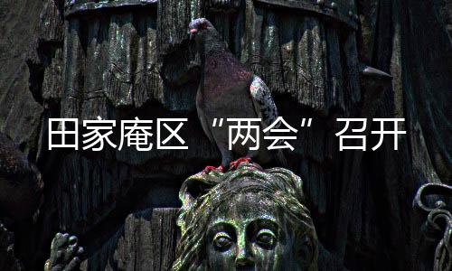 田家庵區“兩會”召開