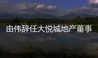 由偉辭任大悅城地產董事長，陳朗接任