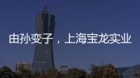 由孫變子，上海寶龍實業接手洛陽寶龍置業