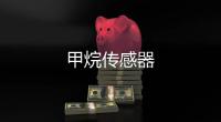 甲烷傳感器