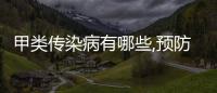 甲類傳染病有哪些,預防甲類傳染病的措施和常見治療方法
