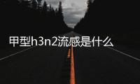 甲型h3n2流感是什么？