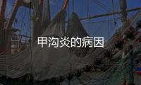 甲溝炎的病因