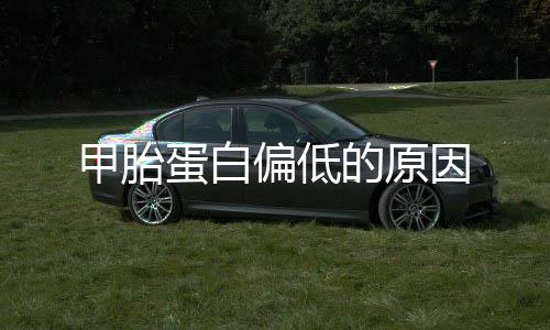 甲胎蛋白偏低的原因