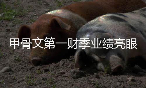 甲骨文第一財季業績亮眼，凈利潤同比增長21%