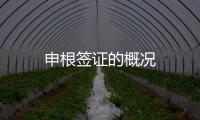 申根簽證的概況