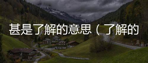 甚是了解的意思（了解的意思）