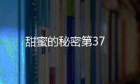 甜蜜的秘密第37