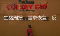 生豬周報：需求恢復，反彈開啟