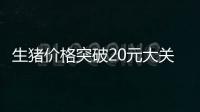生豬價格突破20元大關，三大豬企8月豬價創(chuàng)新高，雙節(jié)來臨能否再漲一波？