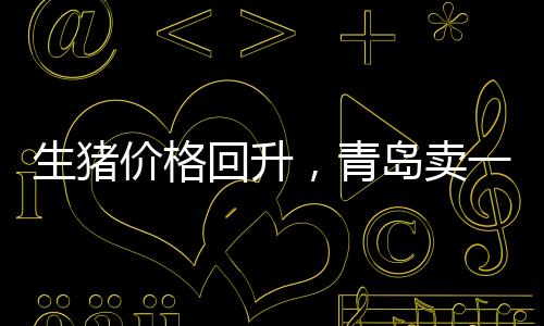 生豬價格回升，青島賣一頭豬賺約500元