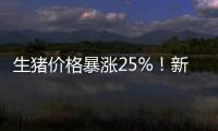 生豬價格暴漲25%！新一輪豬周期啟動，養殖企業盈利顯著回升