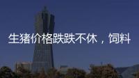 生豬價格跌跌不休，飼料價格波動上行，生豬養殖已步入“微利時代”