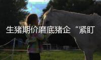 生豬期價磨底豬企“緊盯盤面”心不慌