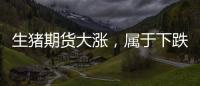 生豬期貨大漲，屬于下跌中的反彈行情