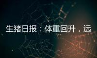 生豬日報：體重回升，遠月壓力突顯