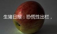 生豬日報：恐慌性出欄，盤面現貨大跌