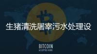 生豬清洗屠宰污水處理設備