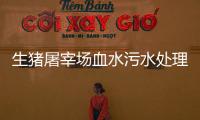 生豬屠宰場血水污水處理設備