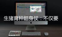 生豬育種翻身仗：不僅要打破壟斷更要邁向高端