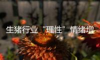 生豬行業“理性”情緒增加全年高點或于11月份顯現
