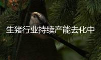 生豬行業持續產能去化中，養殖ETF跌近1.2%，成交額超1.4億元