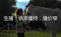 生豬：供需僵持，豬價窄幅盤整
