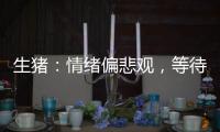 生豬：情緒偏悲觀，等待現貨印證