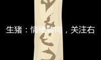 生豬：情緒轉向，關注右側機會