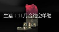 生豬：11月合約空單繼續持有
