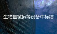 生物顯微鏡等設備中標結果公告