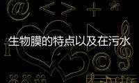 生物膜的特點(diǎn)以及在污水處理中的應(yīng)用