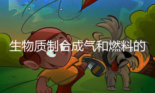 生物質(zhì)制合成氣和燃料的熱化學(xué)法