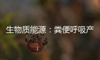 生物質(zhì)能源：糞便呼吸產(chǎn)電