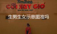生男生女示意圖準嗎