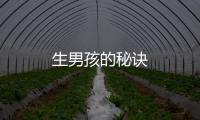 生男孩的秘訣