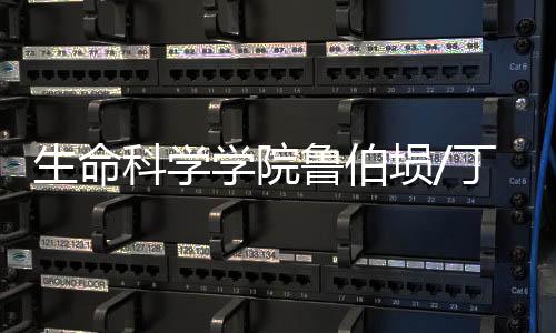 生命科學學院魯伯塤/丁澦團隊合作開發(fā)靶向自噬的降脂化合物（LD