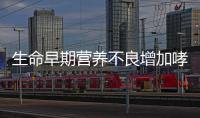 生命早期營養不良增加哮喘風險