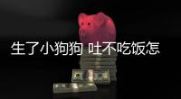 生了小狗狗 吐不吃飯怎么辦呢？狗狗生產后吐不吃東西怎么辦?