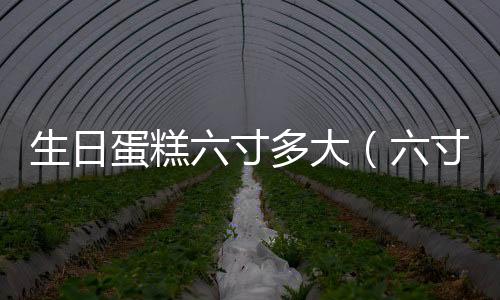 生日蛋糕六寸多大（六寸多大）