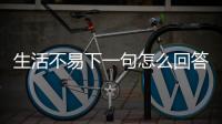 生活不易下一句怎么回答（生活不易下一句）