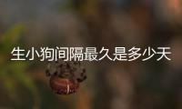 生小狗間隔最久是多少天，狗生小狗隔多久生一個