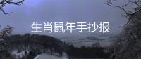 生肖鼠年手抄報