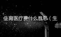 生育醫療費什么意思（生育醫療費）