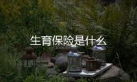 生育保險是什么
