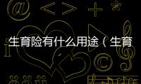 生育險有什么用途（生育險有什么用）