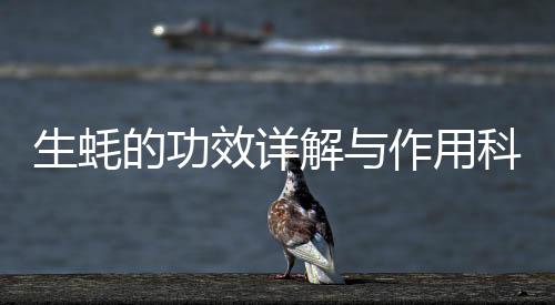 生蠔的功效詳解與作用科普