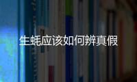 生蠔應(yīng)該如何辨真假